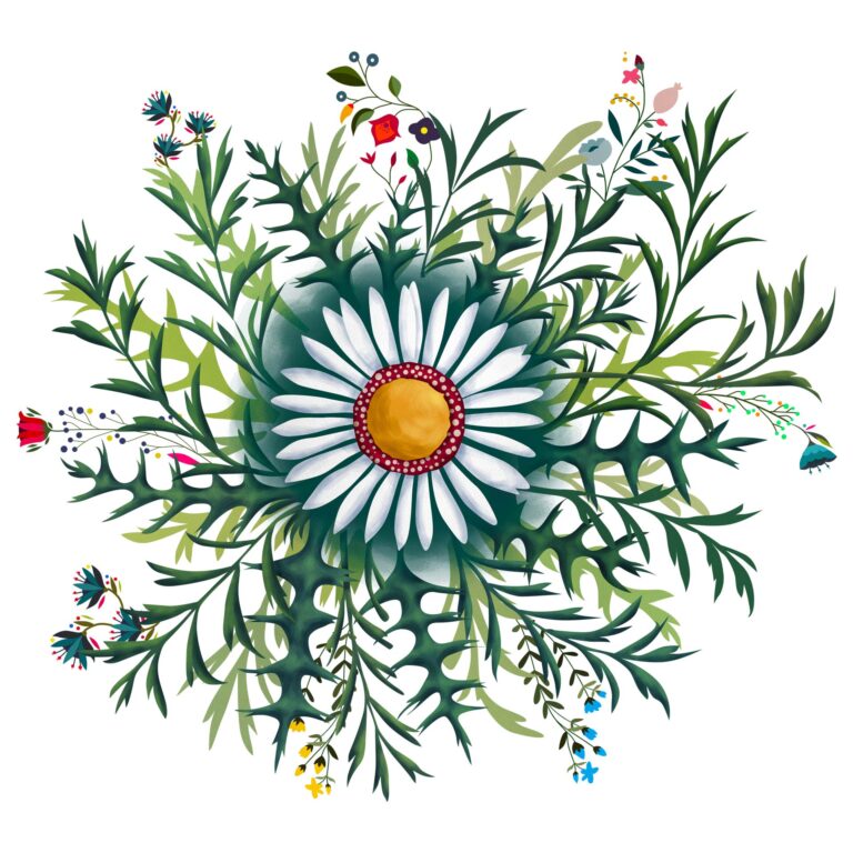 ilustracion 43